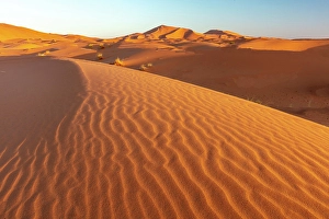 North African Prints: Orange sand dunes at sunset, Erg Chebbi, Sahara Desert, near Merzouga, Morocco