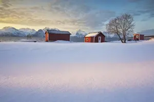 Troms Prints: The orange sky at sunset frame the frozen sea and typical Rorbu immersed in the snow