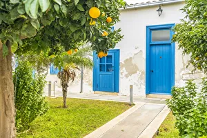 Images Dated 12th February 2021: Orange tree at Panagia Chrysaliniotissa Church, Nicosia, Cyprus