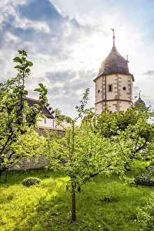 Orchards of Schoental Monastery, Baden-Wurttemberg, Germany