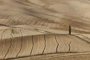 Agricultural Prints: Orcia Valley fields in autumn, Italy, Tuscany, Siena District, San Quirico