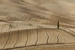 Images Dated 30th August 2018: Orcia Valley fields in autumn, Italy, Tuscany, Siena District, San Quirico