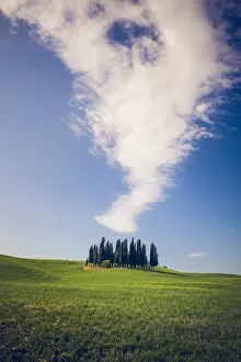 Cypresses Prints: Orcia Valley, Tuscany, Italy. Iconic cypresses under a cloud