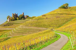 Wine Route Prints: Ortenberg castle, Kinzigtal Valley, Black Forest, Baden Wurttemberg, Germany