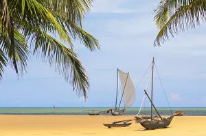 Images Dated 10th June 2019: Oruwa (outrigger canoe) on Negombo beach, Western Province, Sri Lanka