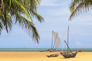 Images Dated 10th June 2019: Oruwa (outrigger canoe) on Negombo beach, Western Province, Sri Lanka
