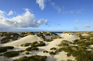 Osso da Baleia beach dunes. Figueira da Foz, Portugal