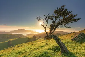 Quiet Gallery: Otago Peninsula near Dunedin, Hoopers inlet, South Island, New Zealand