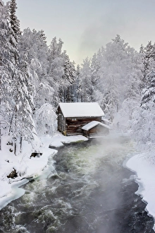 Suspension Bridge Prints: Oulanka National Park in finnish Lapland, Finland