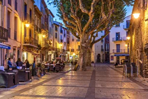 Outdoor cafe, Collioure, Pyrenees-Orientales, France
