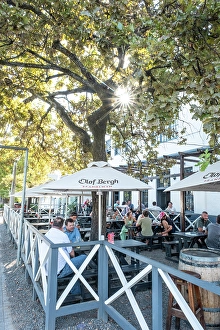 Cape Winelands Prints: Outdoor cafe, Stellenbosch, Western Cape, South Africa