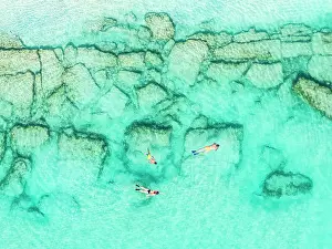 West Indies Prints: Overhead view of family with one boy enjoying snorkeling in the turquoise coloured sea