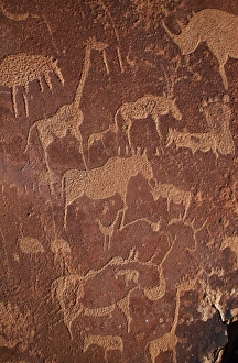 Damaraland Gallery: Overview of Bushman petroglyphs near caves formations
