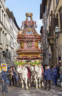 Ox cart, Explosion of the Cart festival, Florence, Tuscany, Italy, Europe