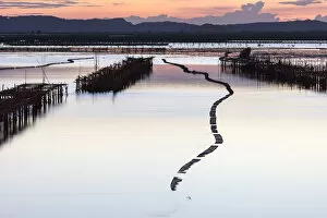 Images Dated 14th December 2017: Oyster beds in the shape of a snake at sunset, Halong Bay, Quang Ninh Province, North-East