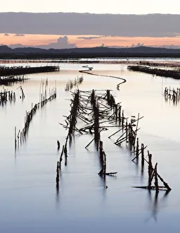 Oyster beds at sunset, Halong Bay, Quang Ninh Province, North-East Vietnam, South-East