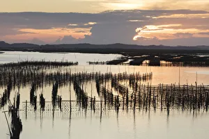 Oyster beds at sunset, Halong Bay, Quang Ninh Province, North-East Vietnam, South-East