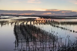 Oyster beds at sunset, Halong Bay, Quang Ninh Province, North-East Vietnam, South-East
