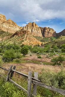 Images Dated 24th July 2019: Pa rus Trail Zion National Park, Utah, USA