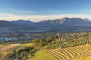 Images Dated 27th July 2017: Paarl Valley at sunrise, Paarl, Western Cape, South Africa