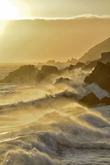 Coast Gallery: Pacific coast at sunset, Pfeiffer State Park, Big Sur, California, USA