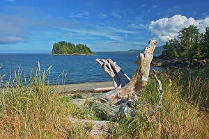 Images Dated 14th August 2023: Pacific Ocean. Skidegate. Graham Island, Haida Gwaii (formerly the Queen Charlotte Islands)