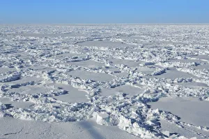 Weddell Sea Prints: Pack ice - Antarctica, Weddell Sea, Riiser Larsen Ice Shelf