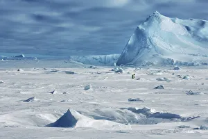 Sea Smoke Prints: Pack ice with frozen in iceberg - Antarctica