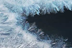 Weddell Sea Prints: Pack ice with ice chrystals - Antarctica