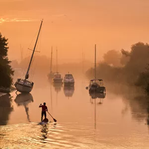 Images Dated 1st June 2021: Paddle Boarder on River Frome, Wareham, Dorset, England