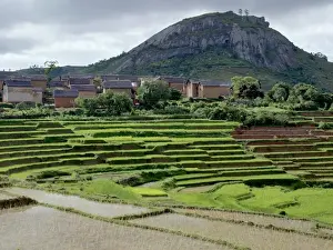 Hamlet Prints: Paddy fields close to a small village near Fianarantsoa