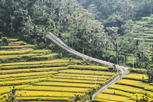 Paddy fields in Sidemen valley, Rendang, Karangasem Regency, Bali, Indonesia Paddy fields in Sidemen valley, Rendang, Karangasem Regency, Bali, Indonesia