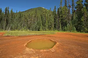 Majestic Rockies Prints: The Paint Pots where iron-rich mineral springs stain the surrounding earth a vibrant ochre colour