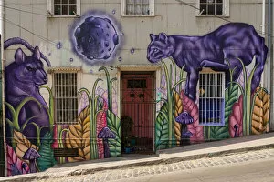 Images Dated 15th March 2022: Painted animal mural on house, UNESCO, Cerro Alegre, Valparaiso, Valparaiso Province