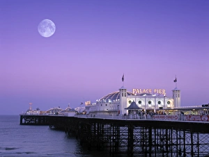 Rex Butcher Gallery: Palace Pier