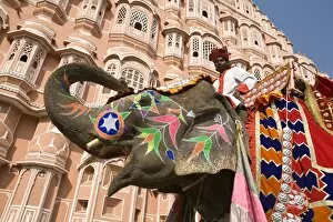Rajasthan Gallery: Palace of the Winds (Hawa Mahal)