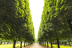 Latin Quarter Prints: Palais du Luxembourg, Paris, France