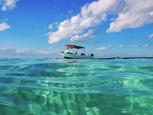 Snorkel Prints: Palancar Gardens, El Cielito and Colombia Deep Reef Snorkelling Tour Boat