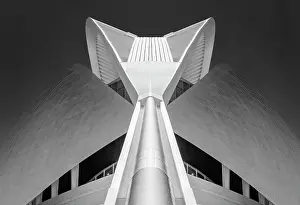 Infrared Prints: Detail of the Palau de les Arts Reina Sofia in infrared