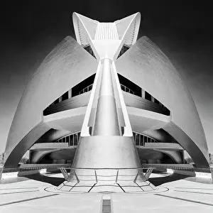 Opera House Prints: The Palau de les Arts Reina Sofia (Opera House)