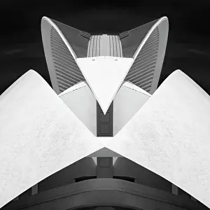 B And W Prints: Detail of the Palau de les Arts Reina Sofia (Opera House)