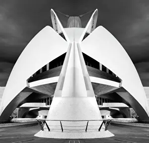 Opera House Prints: The Palau de les Arts Reina Sofia (Opera House)