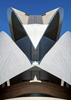 Arts Prints: Palau de les Arts Reina Sofia (Queen Sofia Palace of the Arts)