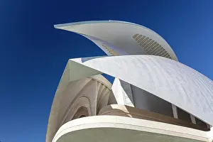 Arts Prints: Palau de les Arts Reina Sofia (Queen Sofia Palace of the Arts)