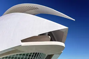Arts Prints: Palau de les Arts Reina Sofia (Queen Sofia Palace of the Arts)
