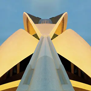 Arts Prints: Palau de les Arts Reina Sofia (Queen Sofia Palace of the Arts)