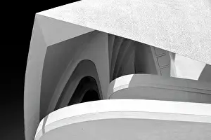 Arts Prints: Palau de les Arts Reina Sofia (Queen Sofia Palace of the Arts)