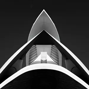 Arts Prints: Palau de les Arts Reina Sofia (Queen Sofia Palace of the Arts)
