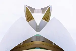 Valencia Prints: Detail of the Palau de les Arts Reina Sofia (Queen Sofia Palace of the Arts)