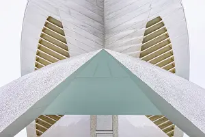Valencia Prints: Detail of the Palau de les Arts Reina Sofia (Queen Sofia Palace of the Arts)